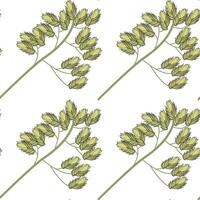 naadloos patroon van de top van wild veld- gras. illustratie. vector
