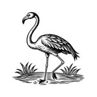 zwart flamingo geïsoleerd Aan wit achtergrond vector