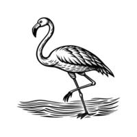 zwart flamingo geïsoleerd Aan wit achtergrond vector