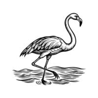 zwart flamingo geïsoleerd Aan wit achtergrond vector