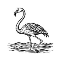 zwart flamingo geïsoleerd Aan wit achtergrond vector