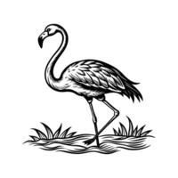 zwart flamingo geïsoleerd Aan wit achtergrond vector