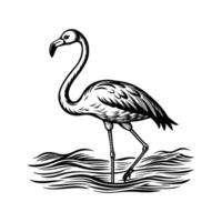 zwart flamingo geïsoleerd Aan wit achtergrond vector