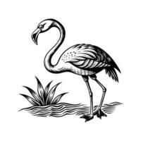 zwart flamingo geïsoleerd Aan wit achtergrond vector