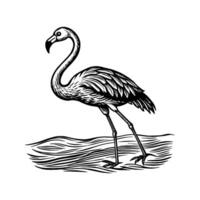 zwart flamingo geïsoleerd Aan wit achtergrond vector