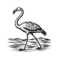 zwart flamingo geïsoleerd Aan wit achtergrond vector