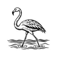 zwart flamingo geïsoleerd Aan wit achtergrond vector