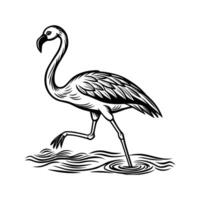 zwart flamingo geïsoleerd Aan wit achtergrond vector