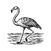 zwart flamingo geïsoleerd Aan wit achtergrond vector