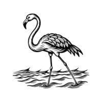 zwart flamingo geïsoleerd Aan wit achtergrond vector