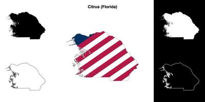 citrus district, Florida schets kaart reeks vector