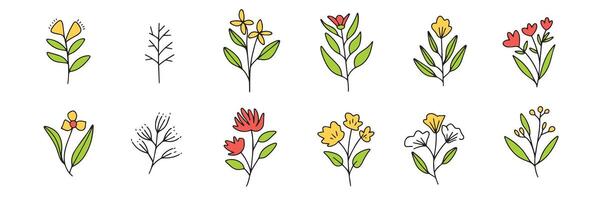 verzameling van tekening bloemen gekleurde schets. hand- getrokken kunst. vector