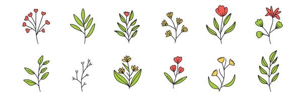 verzameling van tekening bloemen gekleurde schets. hand- getrokken kunst. vector