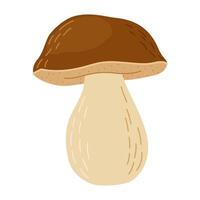 porcini Woud paddestoel. hand- getrokken boletus edulis schimmel. porcini vers eetbaar champignons tekenfilm stijl decor element. cep. koning boleet Aan wit achtergrond. cent bun illustratie vector