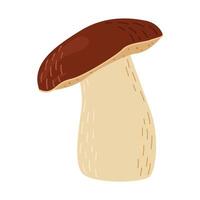 porcini Woud paddestoel. hand- getrokken boletus edulis schimmel. porcini vers eetbaar champignons tekenfilm stijl decor element. cep. koning boleet Aan wit achtergrond. cent bun illustratie vector