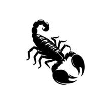 schorpioen of Schorpioen dier aanvallen geïsoleerd Aan een wit achtergrond. scorpius dierenriem symbool tatoeëren. zwart en wit hand- getrokken vector