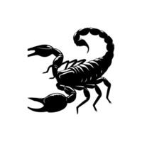 schorpioen of Schorpioen dier aanvallen geïsoleerd Aan een wit achtergrond. scorpius dierenriem symbool tatoeëren. zwart en wit hand- getrokken vector