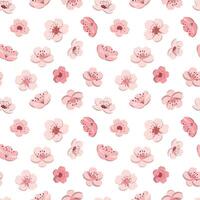 kers bloesem naadloos patroon. sakura bloemen. geïsoleerd Aan wit achtergrond. schattig bloemen afdrukken. vector