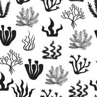 naadloos patroon met zwart silhouetten koralen en zeewier Aan wit achtergrond vector
