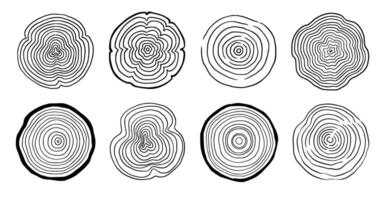 boom ring hout cirkel set. hand- getrokken boom ring patroon, lijn rimpeling cirkel hout textuur. hout biologisch plak lijn ontwerp. vector