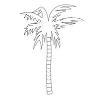 palm boom schetsen. tropisch strand boom. palm bladeren. schets exotisch fabriek. lineair plantkunde. boom kofferbak. geïsoleerd voorwerp. getrokken. natuur. illustratie. vector