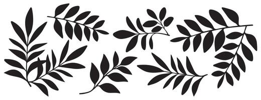 set van boomtakken, eucalyptus, bladeren, kruiden en bloemen silhouetten. vector