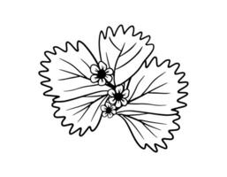 hand- getrokken aardbei fabriek met een bloem en fruit. tekening illustratie geïsoleerd Aan wit achtergrond vector