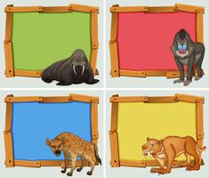 Frame ontwerp met wilde dieren vector