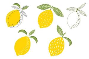 doodle tropisch fruit citroen, citrus set, geïsoleerd op een witte achtergrond. vector hand getekende illustratie.