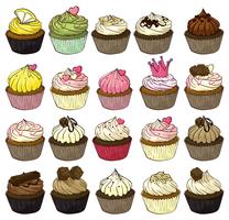 cupcakes vector