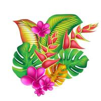 oerwoud bloem, bladeren keerkring set. geïsoleerd elementen. palm blad, monster, roze plumeria bloem, hibiscus bloesem, exotisch tropisch zomer bloemen en bladeren. vector