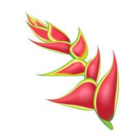 oerwoud bloem, bladeren keerkring set. geïsoleerd elementen. palm blad, monster, roze plumeria bloem, hibiscus bloesem, exotisch tropisch zomer bloemen en bladeren. vector