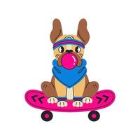 Frans bulldog blazen bubbel gom rijden Aan skateboard vector