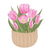 hand getekend roze tulpen - voorjaar bloem illustratie vector