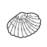 hand- getrokken zee schelp illustratie in tekening stijl geïsoleerd Aan wit achtergrond. marinier onderwater- ontwerp element. zomer zee clip art. vector