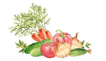 groente samenstelling. salade reeks van komkommers, tomaat en paprika. wortel en ui, peterselie fabriek. hand- getrokken botanisch waterverf illustratie. wijnoogst stijl. vector
