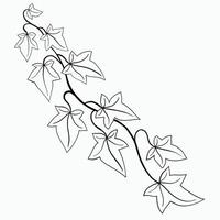 bloemen klimop tekening decoratief ornament vlak ontwerp. vector