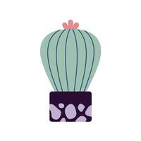 kleurrijk bloeiend cactussen, sappig in pot. schattig hand- getrokken schetsen van cactus. tekening stijl, vlak ontwerp. scandinavisch, boho stijl. exotisch en tropisch plant, huis decor vector