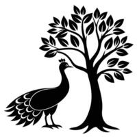 Pauw vogel dier zwart en wit afbeeldingen illustratie vector