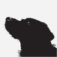 Super goed silhouetten van hond wit achtergrond vector