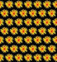 bloemen structuur in de het formulier van oranje bloemen Aan een zwart achtergrond vector