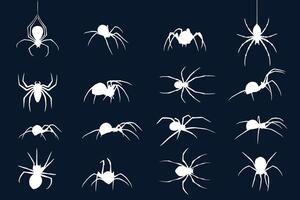 een groot reeks van silhouetten van spinnen Aan een donker achtergrond. spin insect vector