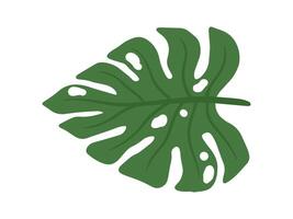 monstera blad tropisch bladeren illustratie vector