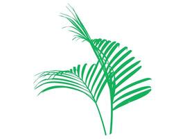 palm groen bladeren achtergrond illustratie vector