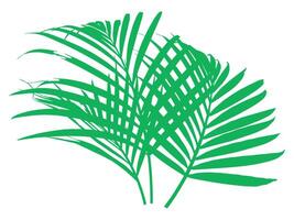 palm groen bladeren achtergrond illustratie vector