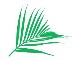 palm groen blad achtergrond illustratie vector