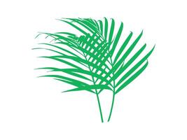 palm groen bladeren achtergrond illustratie vector