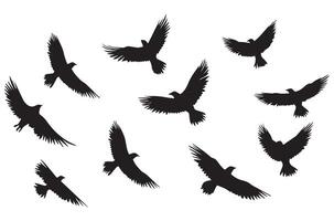 silhouetten vliegend vogelstand illustratie vector