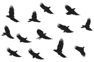 silhouetten vliegend vogelstand illustratie vector