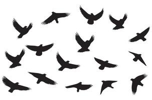 silhouetten vliegend vogelstand illustratie vector